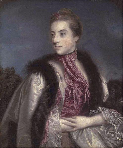 Sir Joshua Reynolds Elizabeth Drax France oil painting art